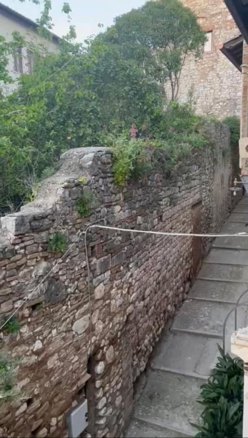 Sognonarni Narni Exterior foto